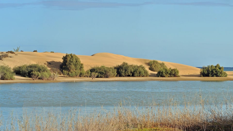 NOTE: This image is a panorama consisting of multiple frames that were merged or stitched in software. As a result, this image necessarily underwent some form of digital manipulation. These manipulations may include blending, blurring, cloning, and color and perspective adjustments. As a result of these adjustments, the image content may be slightly different than reality at the points where multiple images were combined. This manipulation is often required due to lens, perspective, and parallax distortions.