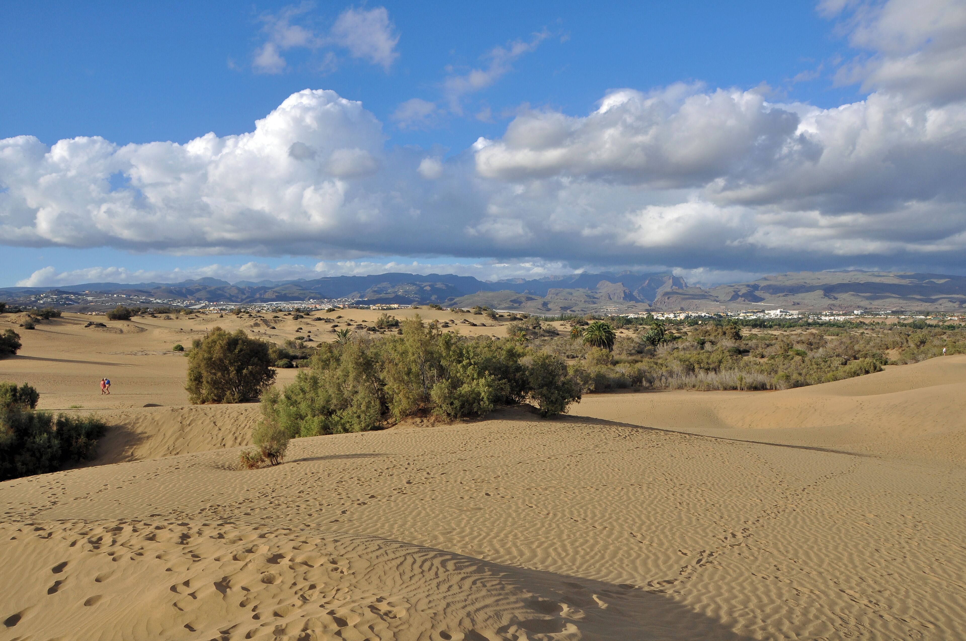 Maspalomas (Gran Canaria): the dunes