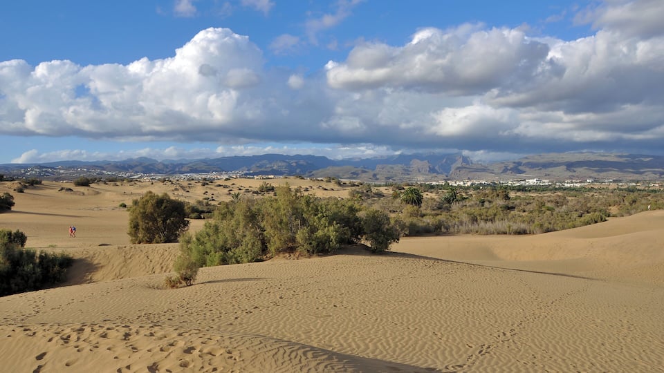 Maspalomas (Gran Canaria): the dunes