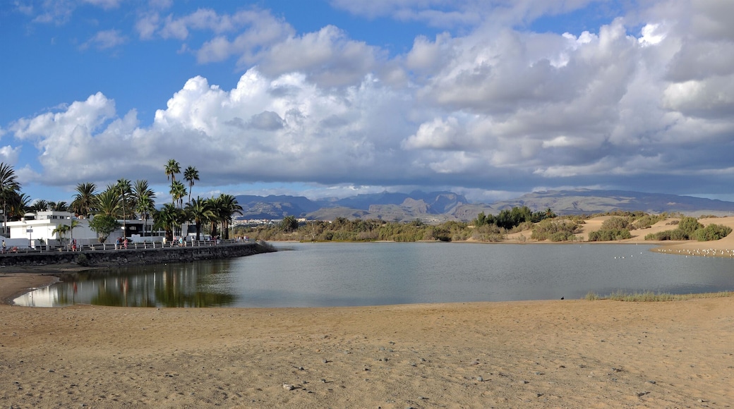 NOTE: This image is a panorama consisting of multiple frames that were merged or stitched in software. As a result, this image necessarily underwent some form of digital manipulation. These manipulations may include blending, blurring, cloning, and color and perspective adjustments. As a result of these adjustments, the image content may be slightly different than reality at the points where multiple images were combined. This manipulation is often required due to lens, perspective, and parallax distortions.