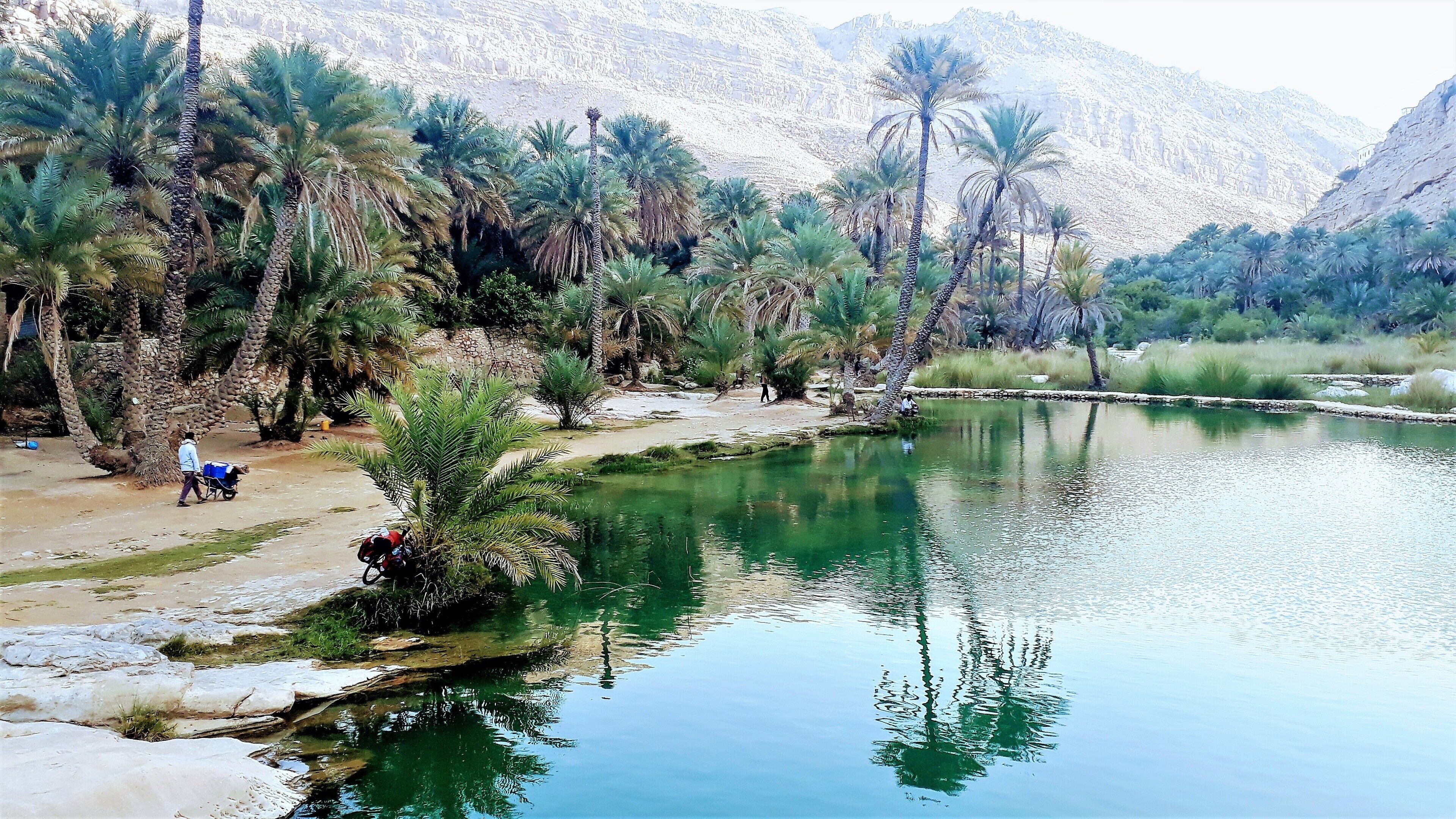 A calm river with palm trees and a mountainous backdrop.