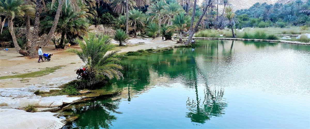A calm river with palm trees and a mountainous backdrop.
