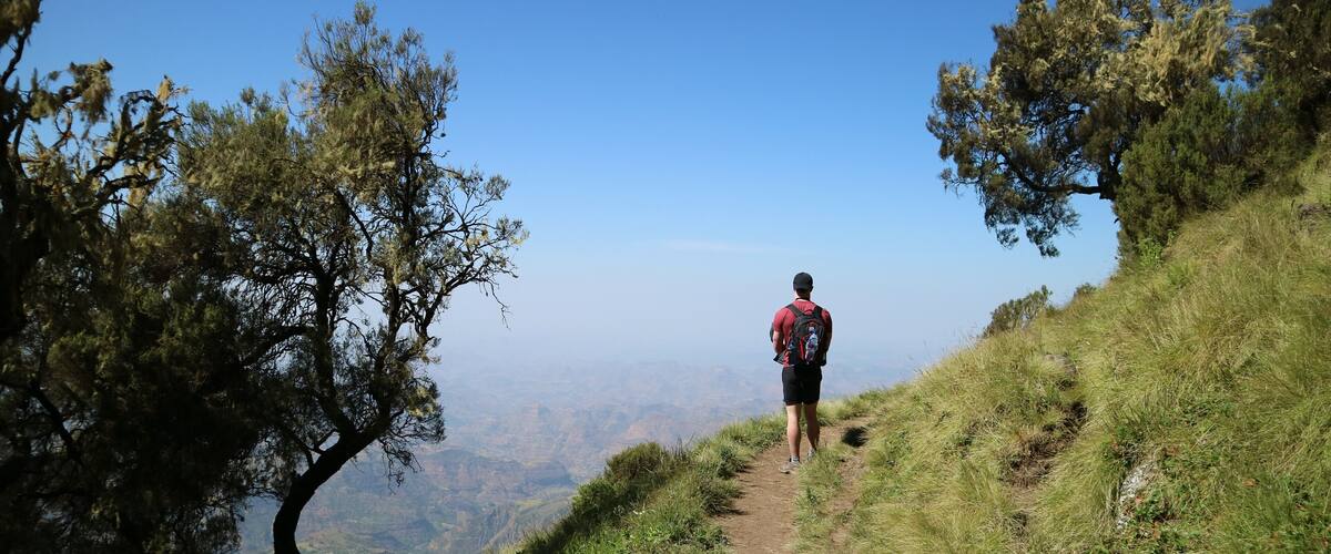 A hiker on a dirt trail surrounded by trees and a mountainous landscape.