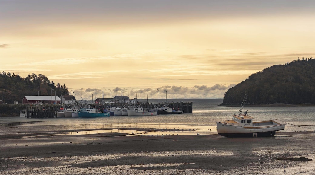 We decided to try to go on a whale watching tour and booked it down towards Bear Island. Guess we needed reservations, but it was still a beautiful drive!
