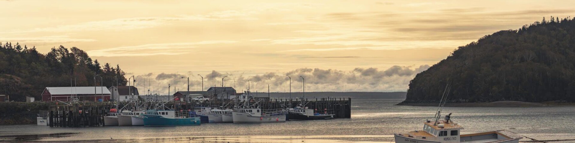 We decided to try to go on a whale watching tour and booked it down towards Bear Island. Guess we needed reservations, but it was still a beautiful drive!