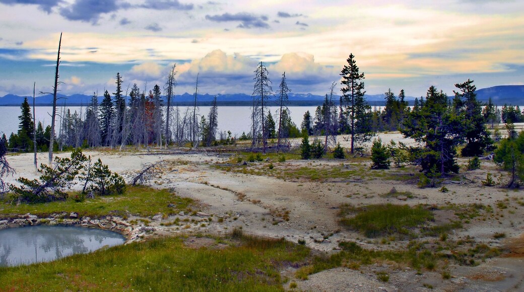 Aguas termales de Yellowstone