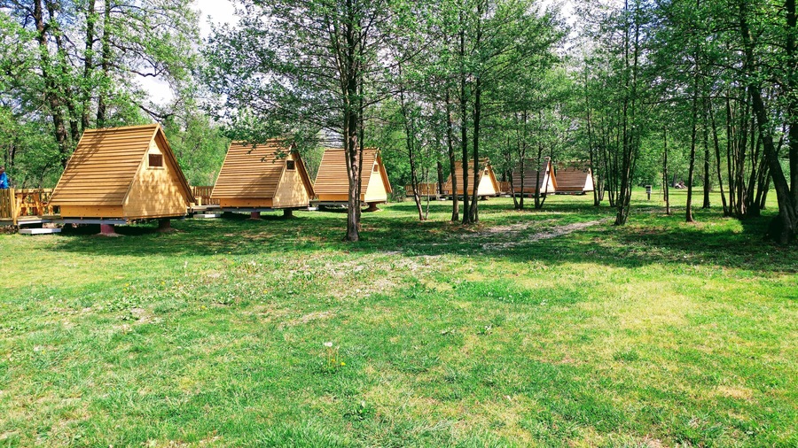 Cabañas de madera en un área boscosa.