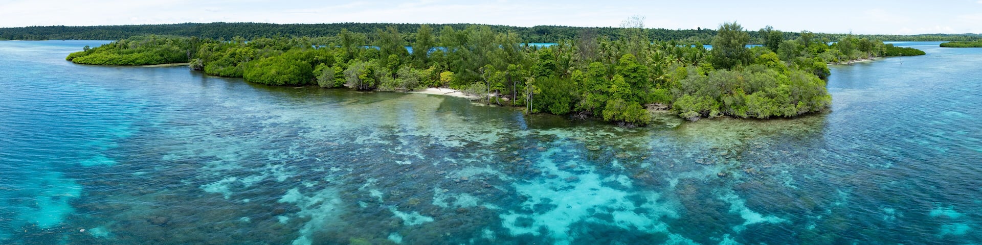 Healthy corals grow along the coastline of a set of remote, tropical islands near Halmahera, Indonesia.This beautiful area is home to extraordinary marine biodiversity.