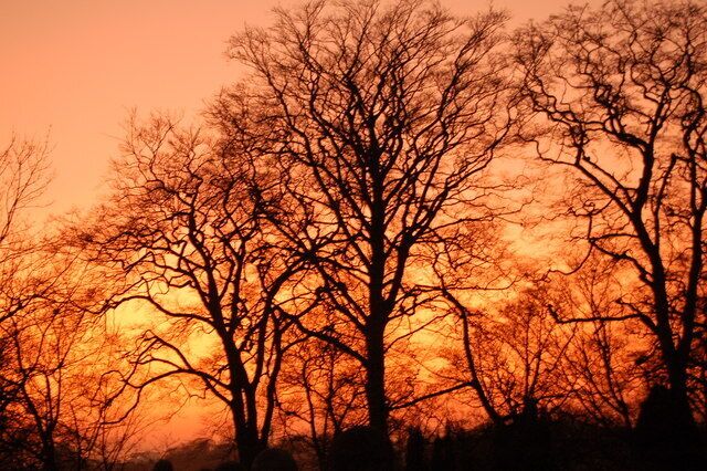 Sunset, Heaton Park, Newcastle upon Tyne Taken from in front of the bowling pavilion, looking across the city.