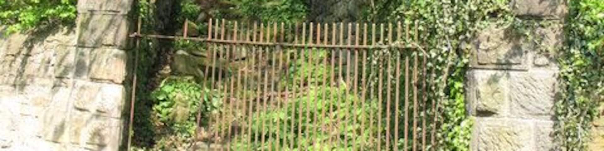 Cattle run (2). For a view of this from the other side of the bridge at the end of the channel, and an explanation of its purpose, see 111481 (photo by C G Burke).