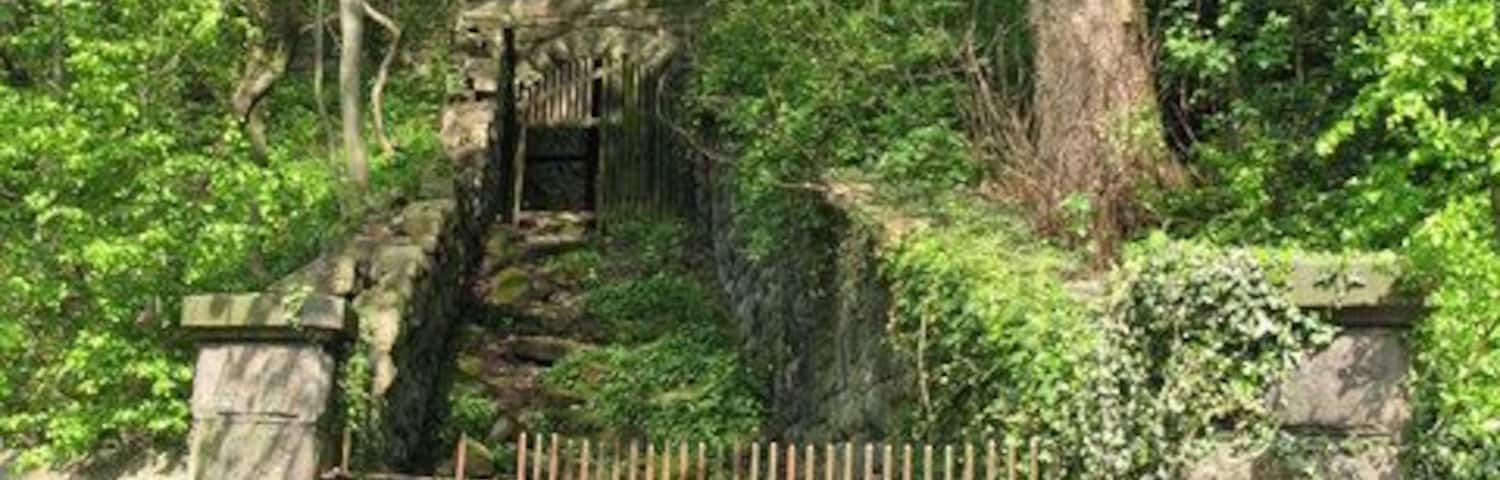 Cattle run (2). For a view of this from the other side of the bridge at the end of the channel, and an explanation of its purpose, see 111481 (photo by C G Burke).