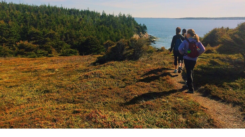 Stroll down Hirtles beach until you reach the end. Follow the Gaff point trail and find the "secret beach"