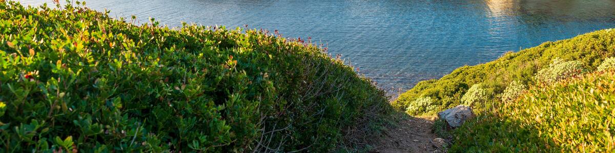 A coastal landscape with white cliffs, a narrow waterway, and green vegetation.