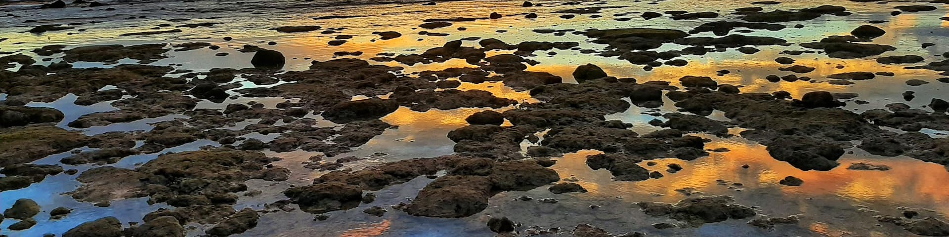 A rocky shoreline at sunset with a city skyline in the background.