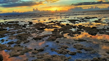 Linha costeira rochosa ao pôr do sol, com o horizonte da cidade ao fundo.