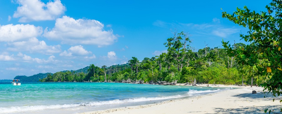 Una playa con agua turquesa cristalina, arena blanca y exuberantes árboles verdes.