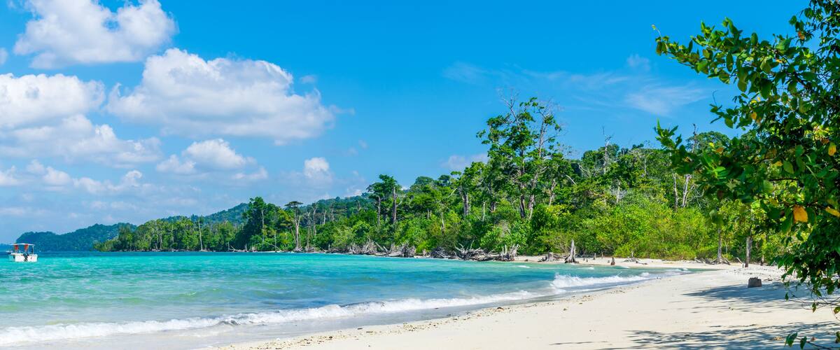 A beach with clear turquoise water, white sand, and lush green trees.