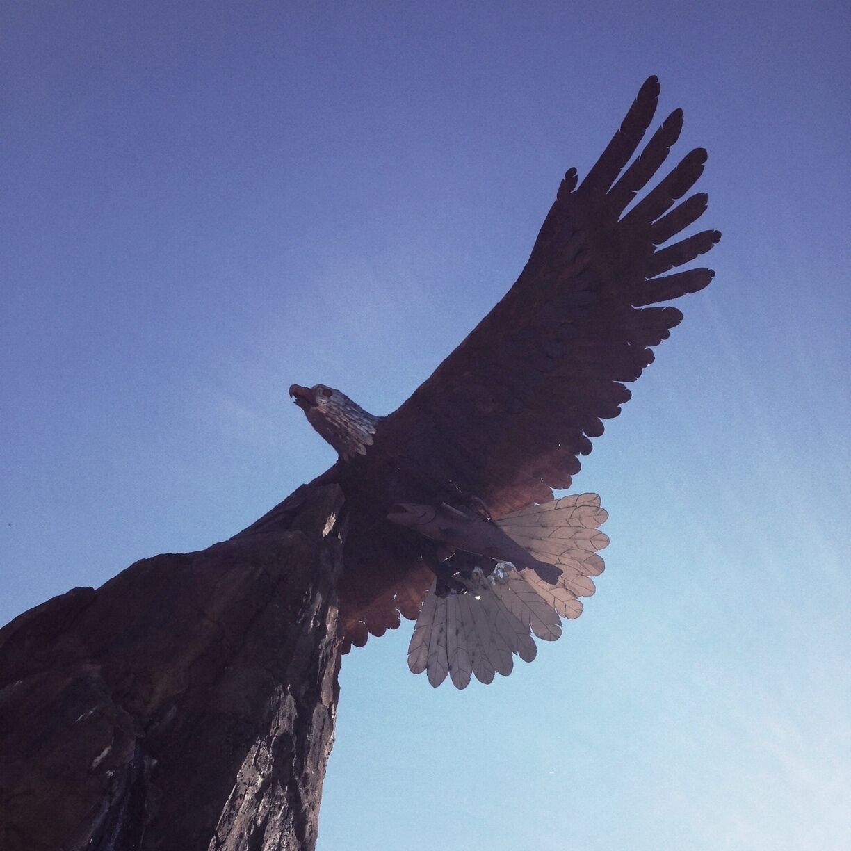Giant sculpture of an eagle at the Jackson Rancheria. 