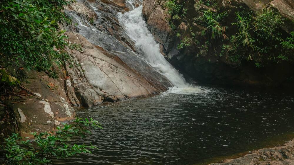 Ein Wasserfall stürzt über Felsen in einen von Grünpflanzen umgebenen Wasserteich.