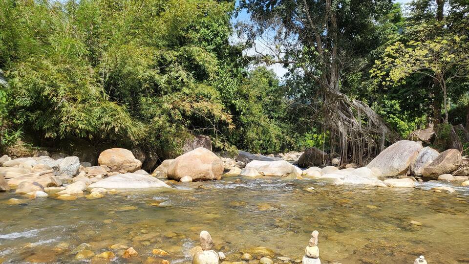 A clear stream with rocks and trees in the background.