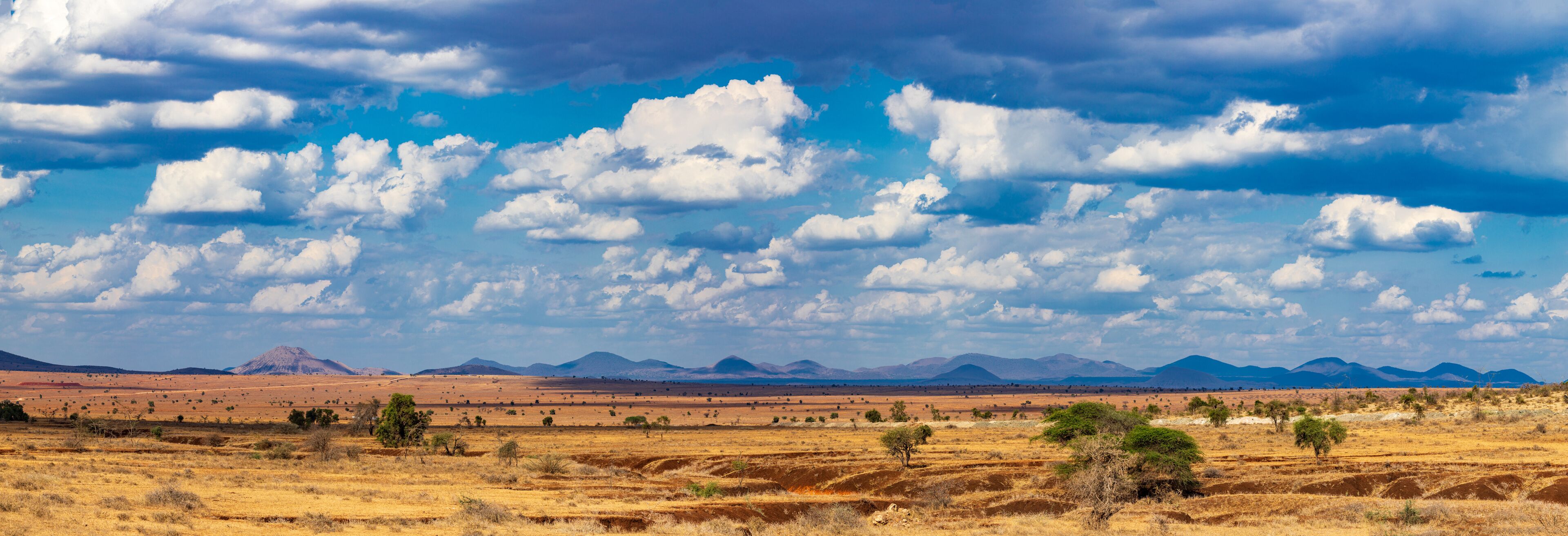 A vast savannah landscape with rolling hills and scattered trees under a partly cloudy sky.