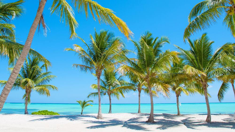 Panorama of idyllic tropical beach with palm trees, white sand and turquoise blue water