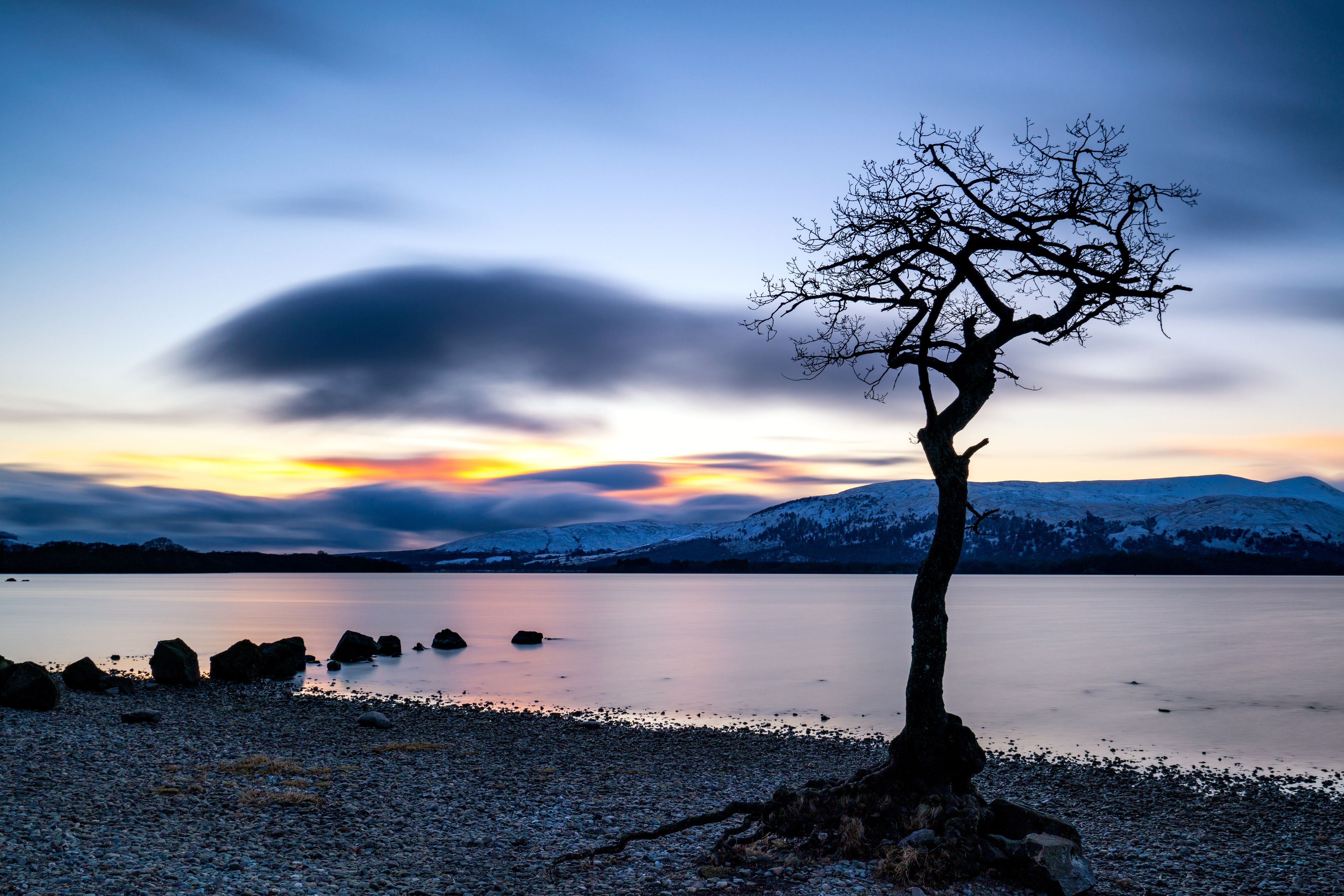 A solitary tree by a calm lake with a mountain range in the background.