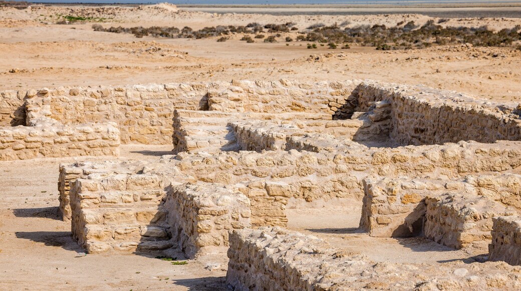 Al Zubarah Archaeological Site