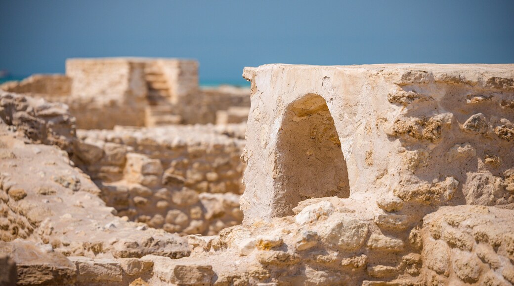 Al Zubarah Archaeological Site
