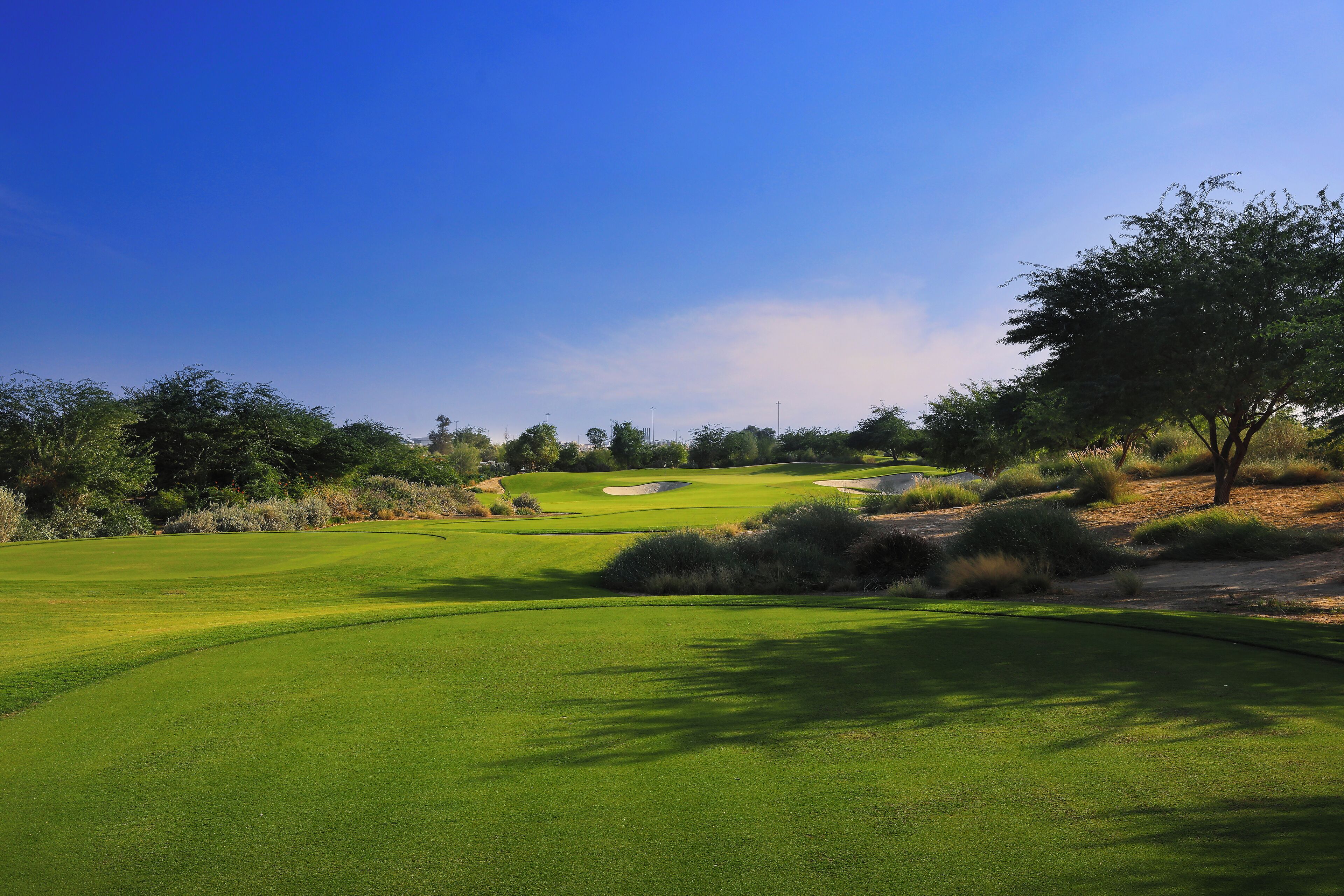 Education City Golf Club