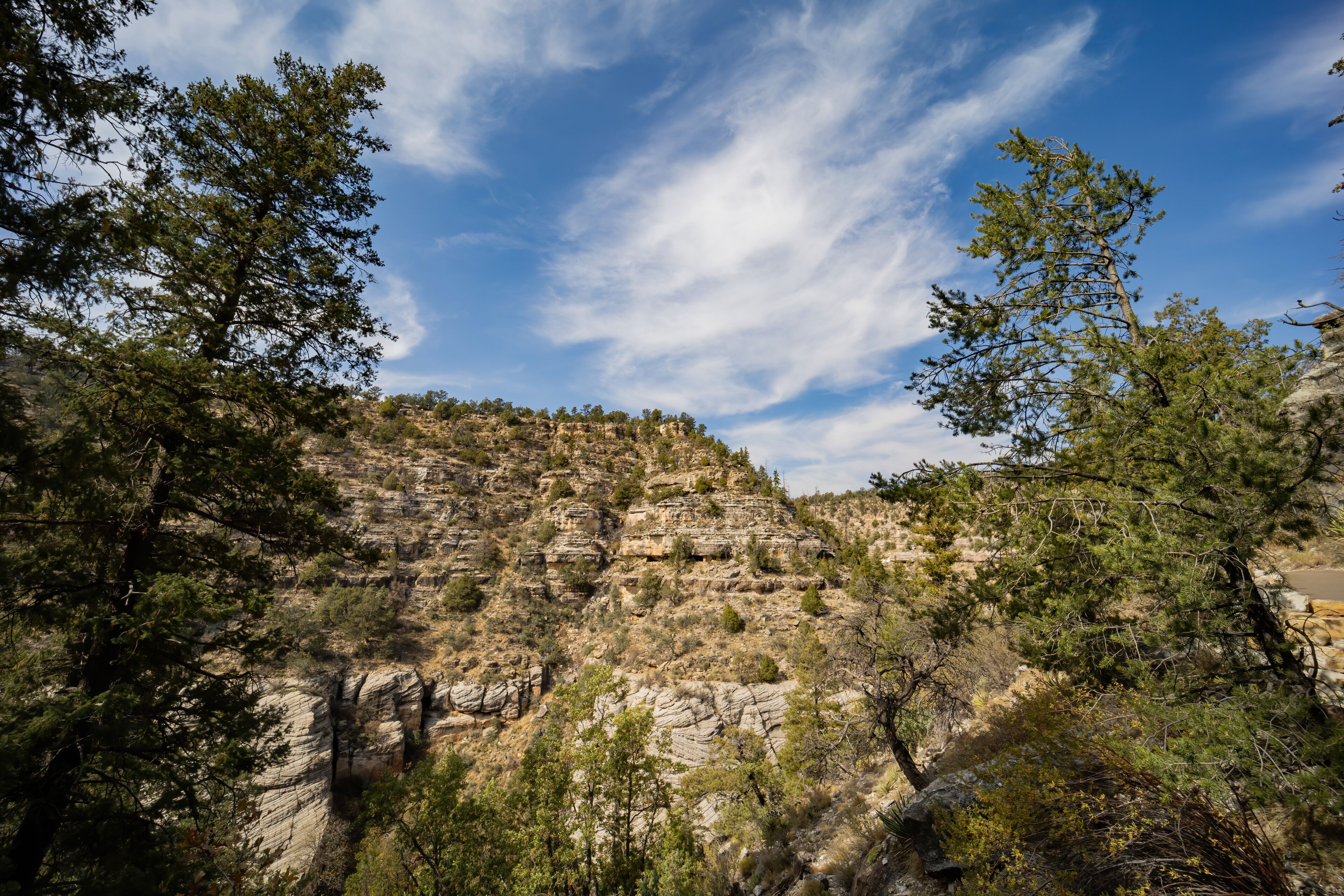 Sunny view of the Walnut Canyon National Monument
