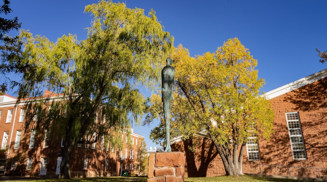 Northern Arizona University