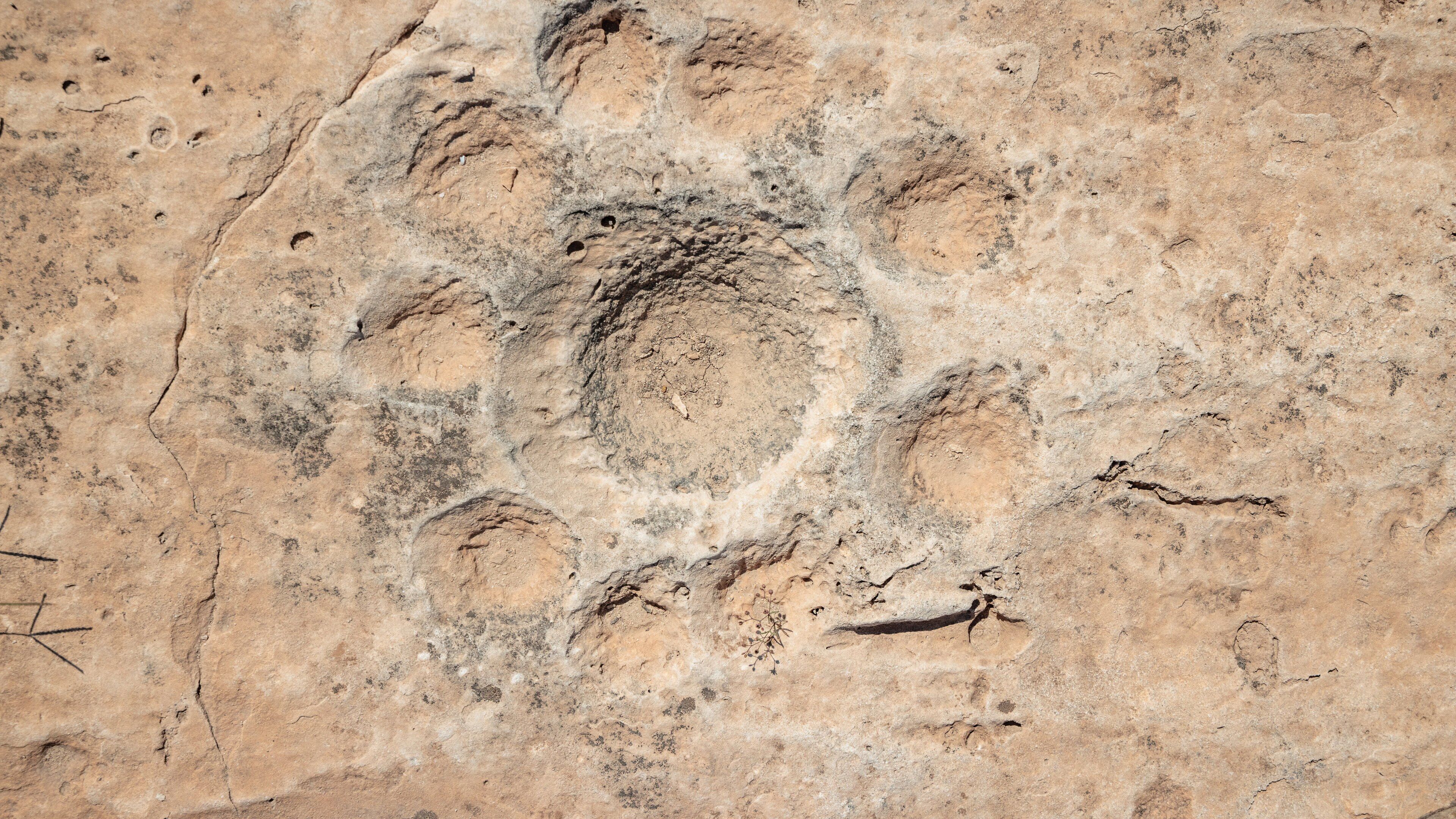 Al Jassasiya Rock Carvings