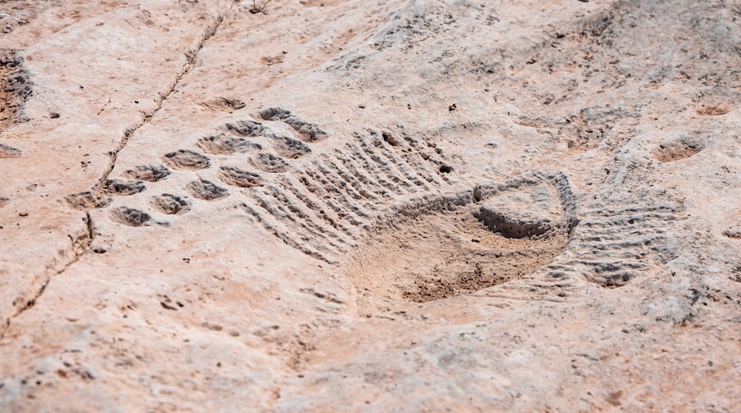 Al Jassasiya Rock Carvings