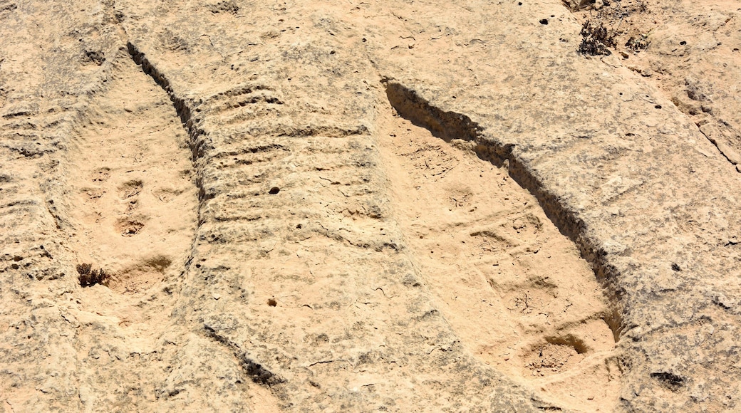 Al Jassasiya Rock Carvings