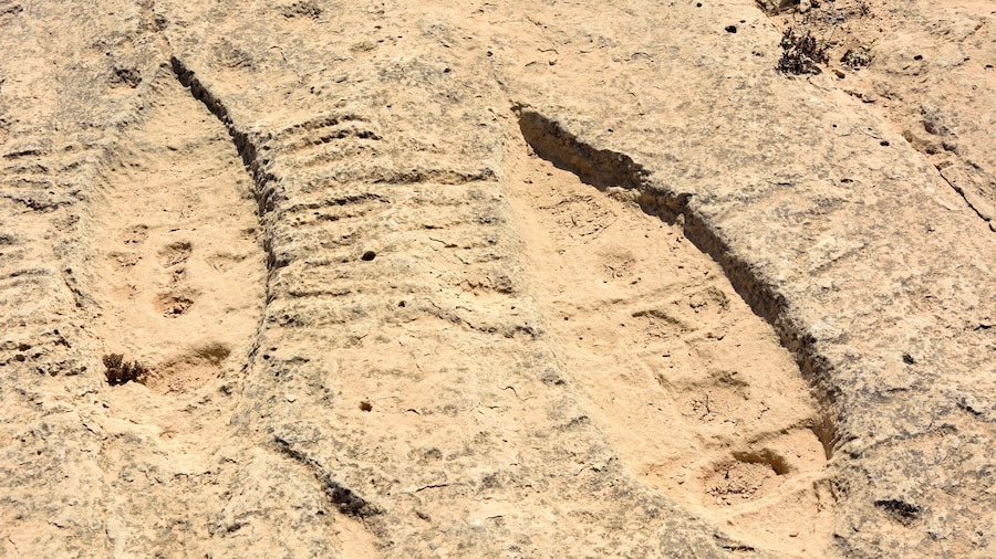 Al Jassasiya Rock Carvings