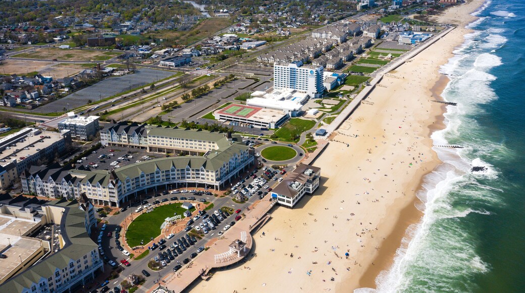 Playa de Long Branch