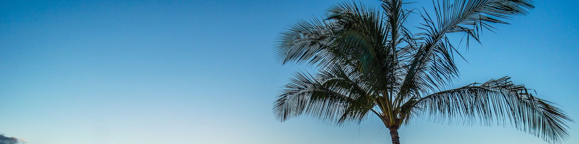 Sunset and a palm tree under blue sky along the coast at Ko Olina on the West Coast of the Hawaiian island of Oahu, with a few colorful clouds on the horizon