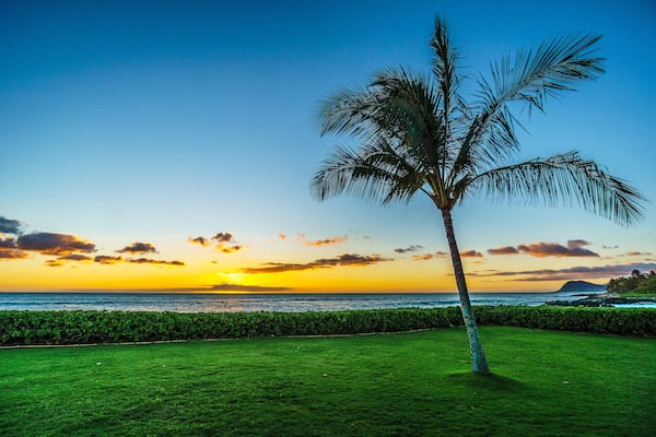 Sunset and a palm tree under blue sky along the coast at Ko Olina on the West Coast of the Hawaiian island of Oahu, with a few colorful clouds on the horizon