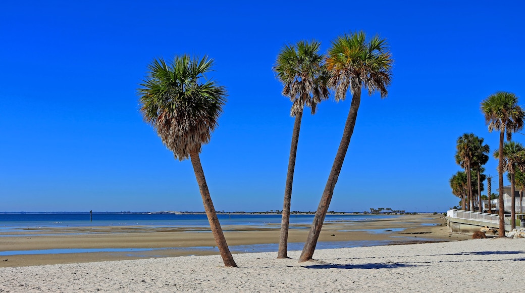 Ben T Davis Beach palm trees and a sugar sand beach