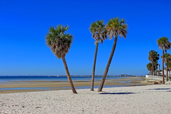 Ben T Davis Beach palm trees and a sugar sand beach
