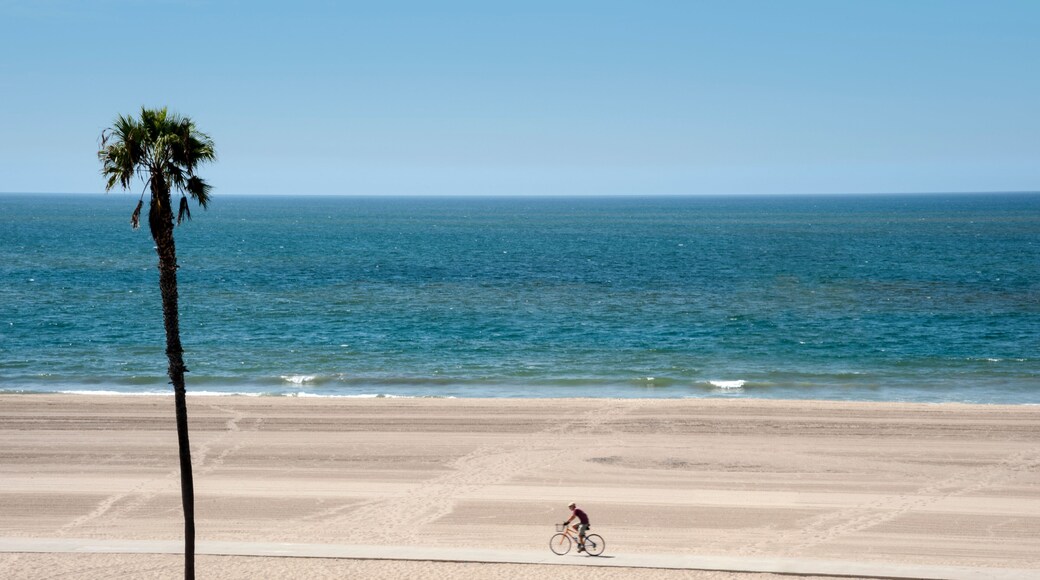 Cyclists on Dockweiler State Beach, Playa del Rey, California