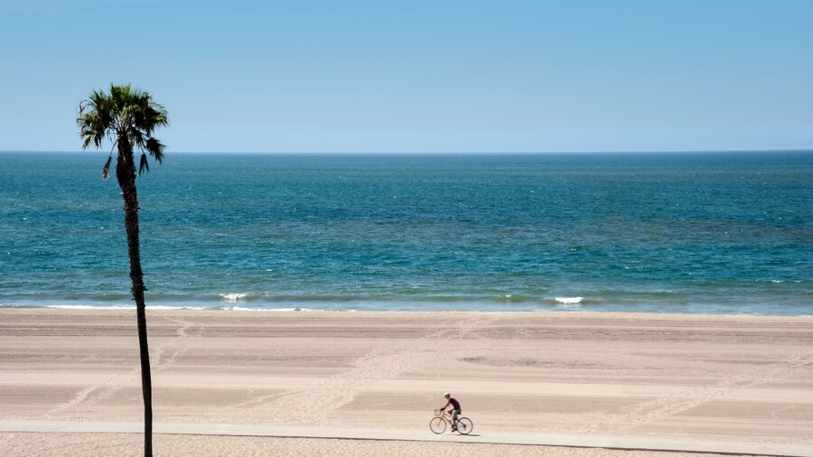 หาดพลายา เดล เรย์