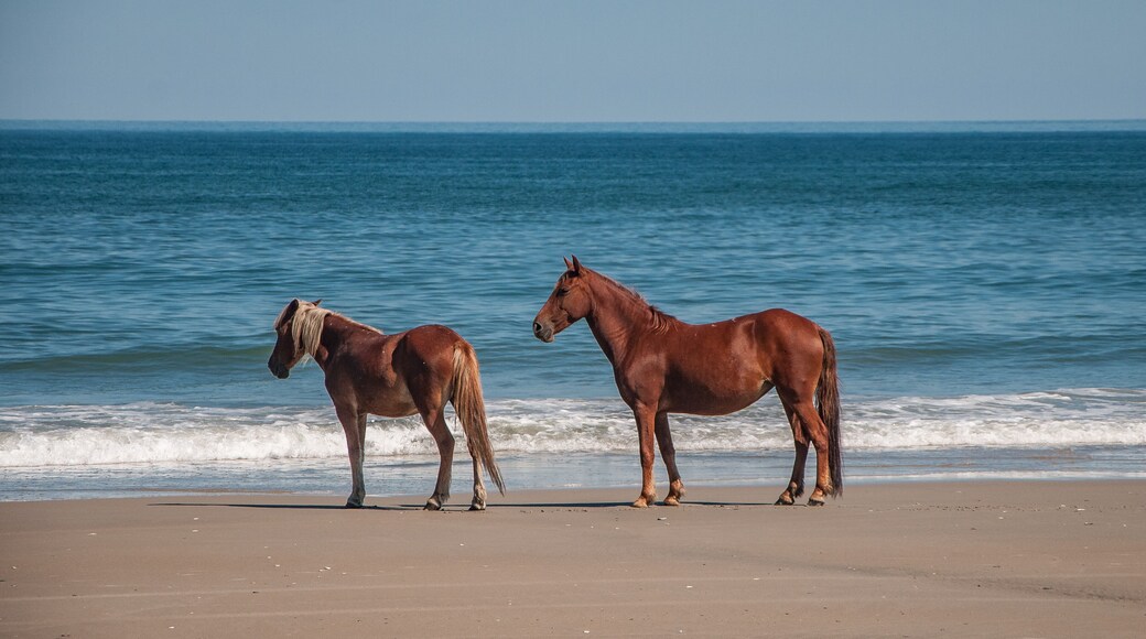 Playa de Corolla