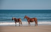 Two horses on a beach with the ocean in the background.
