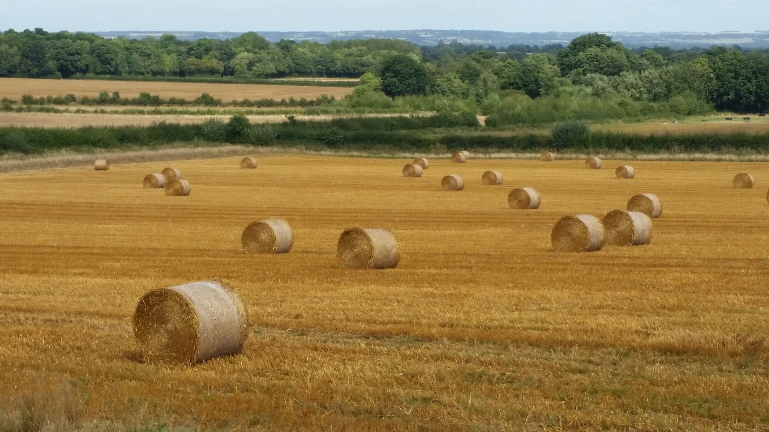 Country scene in Kent.