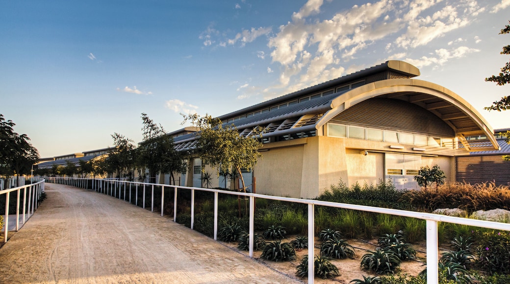 Centro ecuestre Al Shaqab