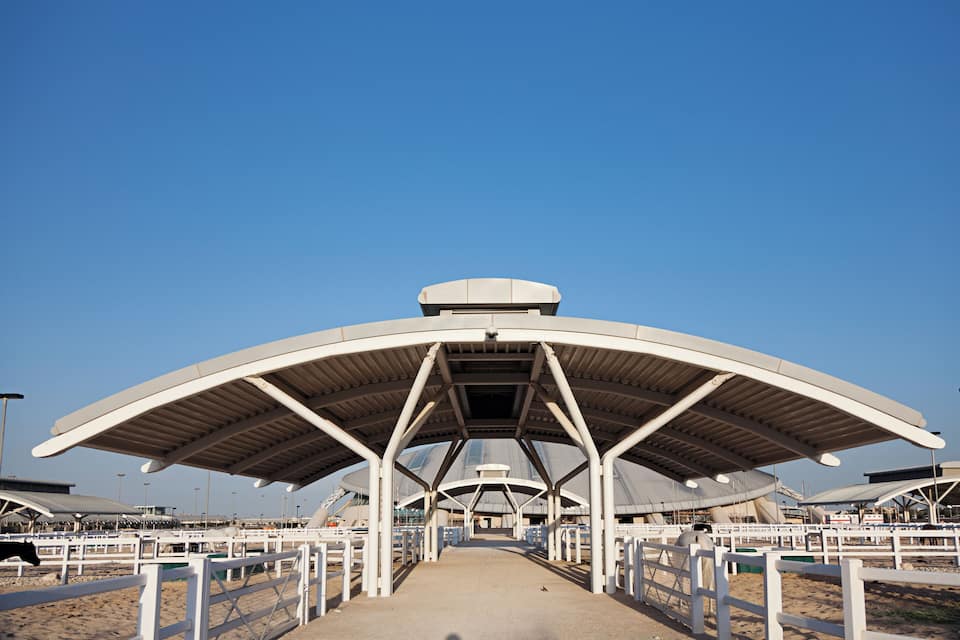Una estructura arquitectónica moderna con techo curvo y varios niveles, rodeada de barandillas blancas y suelo arenoso.