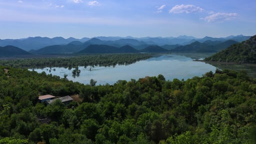 While visiting Kotor we decided to rent a car and take a trip to Lake Skadar. We got extremely lost with no cell reception and ended up weaving down single lane roads down a mountain to the town of Dodosi. The locals were confused why we were there. This was the view going into town. #BvSBlue