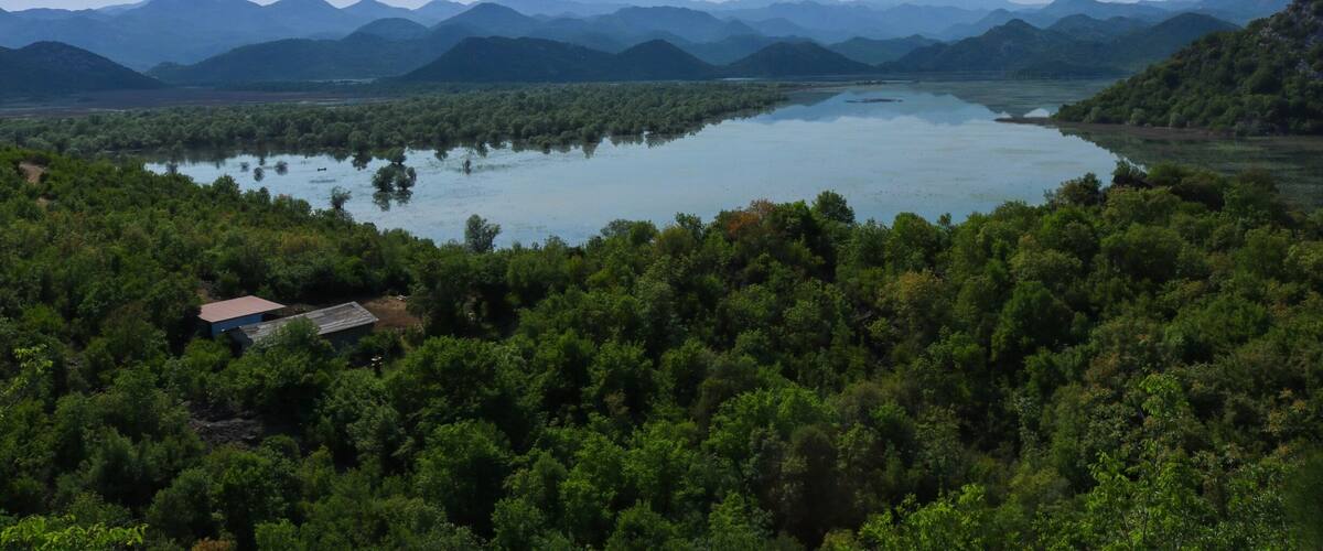 A lake surrounded by dense forest and distant mountains.